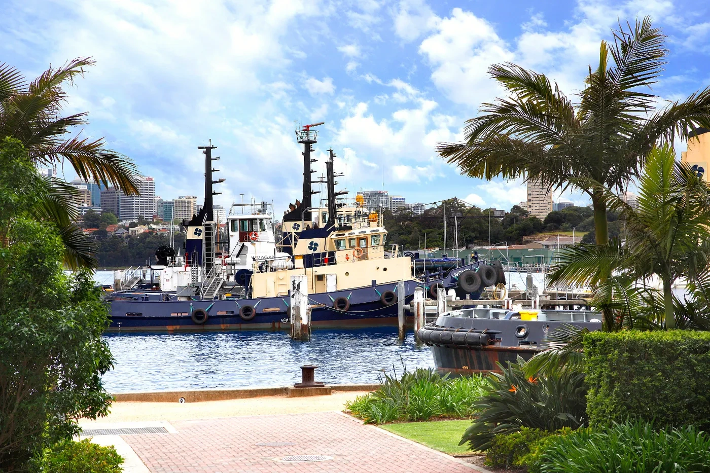Waterfront outlook over Mort Bay with moored tugboats, framed by palms, at The Peninsula, Balmain